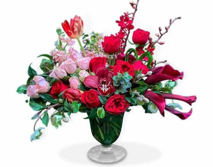 Hermosas Callas, Orquídea y Rosas | TIVOLI