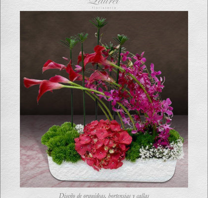Sofisticada composición de Orquídeas, Callas y hortensia | ANIMO - Envío de Arreglos florales Laurel Floristería