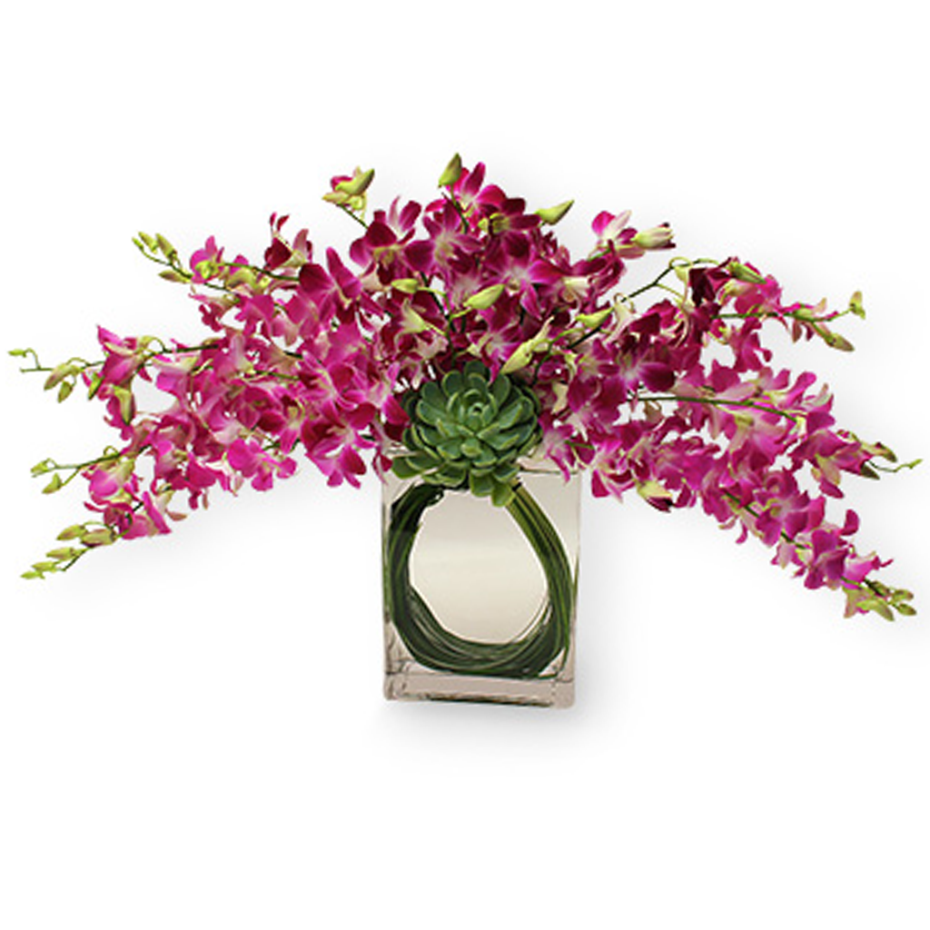 Arreglo Floral de elegantes Orquídeas | CELEBRACION - Envío de Arreglos florales Laurel Floristería