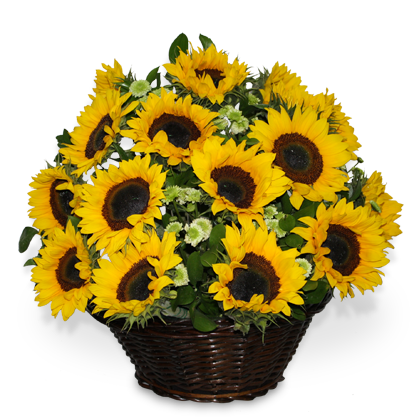 Envío de Arreglos florales Laurel Floristería