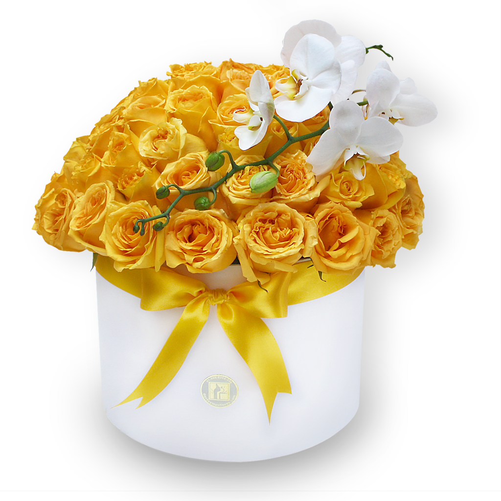 NICOLE | - Envío de Arreglos florales Laurel Floristería