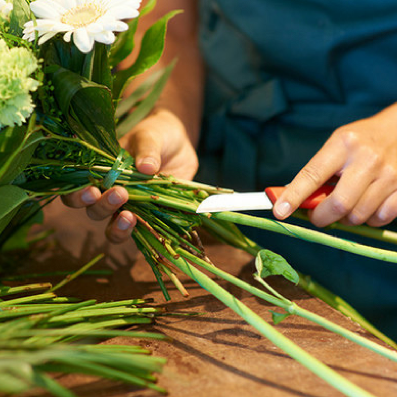 Cómo cuidar un ramo de flores - Envío de Arreglos florales Laurel Floristería