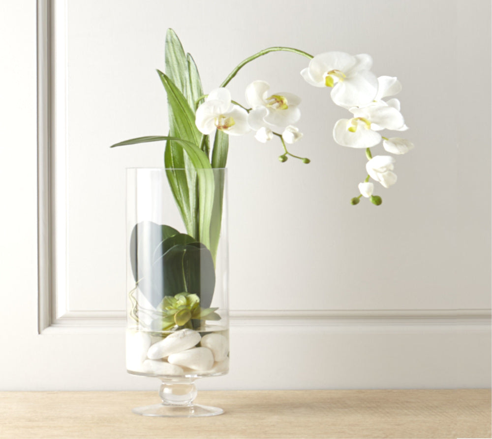 Sofisticada y Delicada Orquídea | ALBA