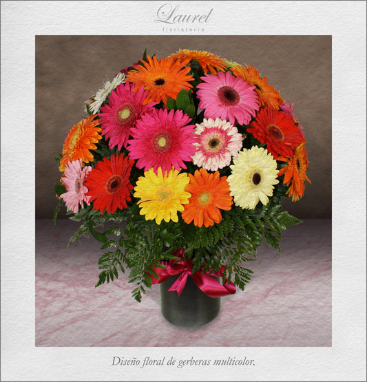 30 Gerberas frescas de lujo | ABRAZO - Envío de Arreglos florales Laurel Floristería