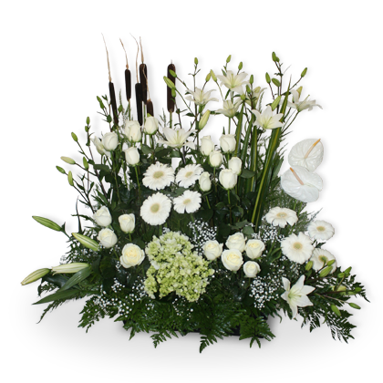 Arreglo Floral condolendias Rosas, Anturios y Gerberas  | ADMIRACION - Envío de Arreglos florales Laurel Floristería