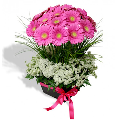 Alegre Arreglo Floral de Gerberas  | CALOR - Envío de Arreglos florales Laurel Floristería