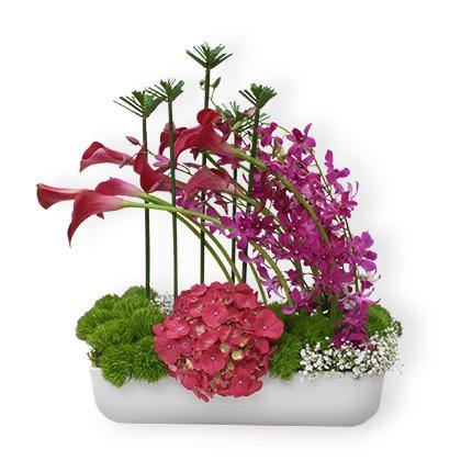 Sofisticada composición de Orquídeas, Callas y hortensia | ANIMO - Envío de Arreglos florales Laurel Floristería