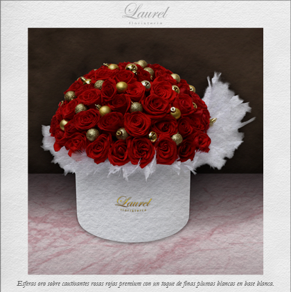 caja de rosas con plumas | NOCHE DE PAZ - Envío de Arreglos florales Laurel Floristería
