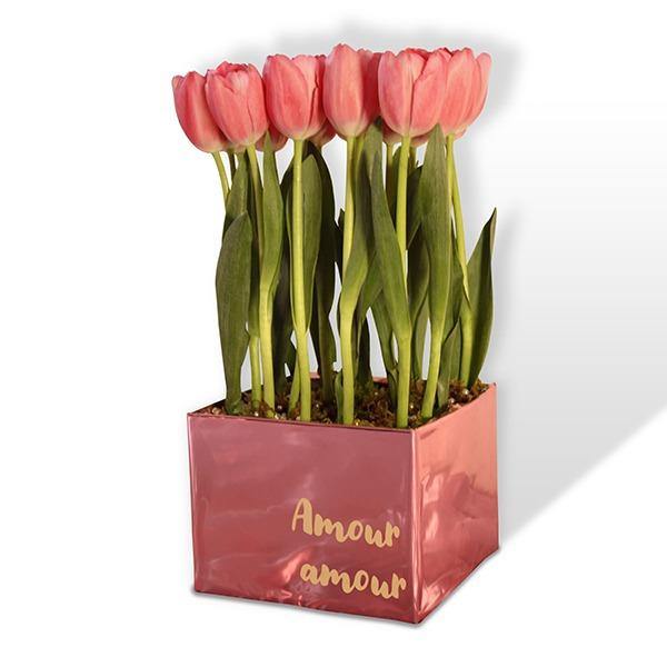 Arreglo floral de 20 Tulipanes I BLANCHE - Envío de Arreglos florales Laurel Floristería
