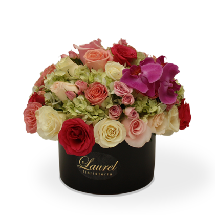 Arreglo Floral  Orquideas y Rosas  | LIFE - Envío de Arreglos florales Laurel Floristería